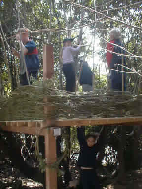 Building the Tree House